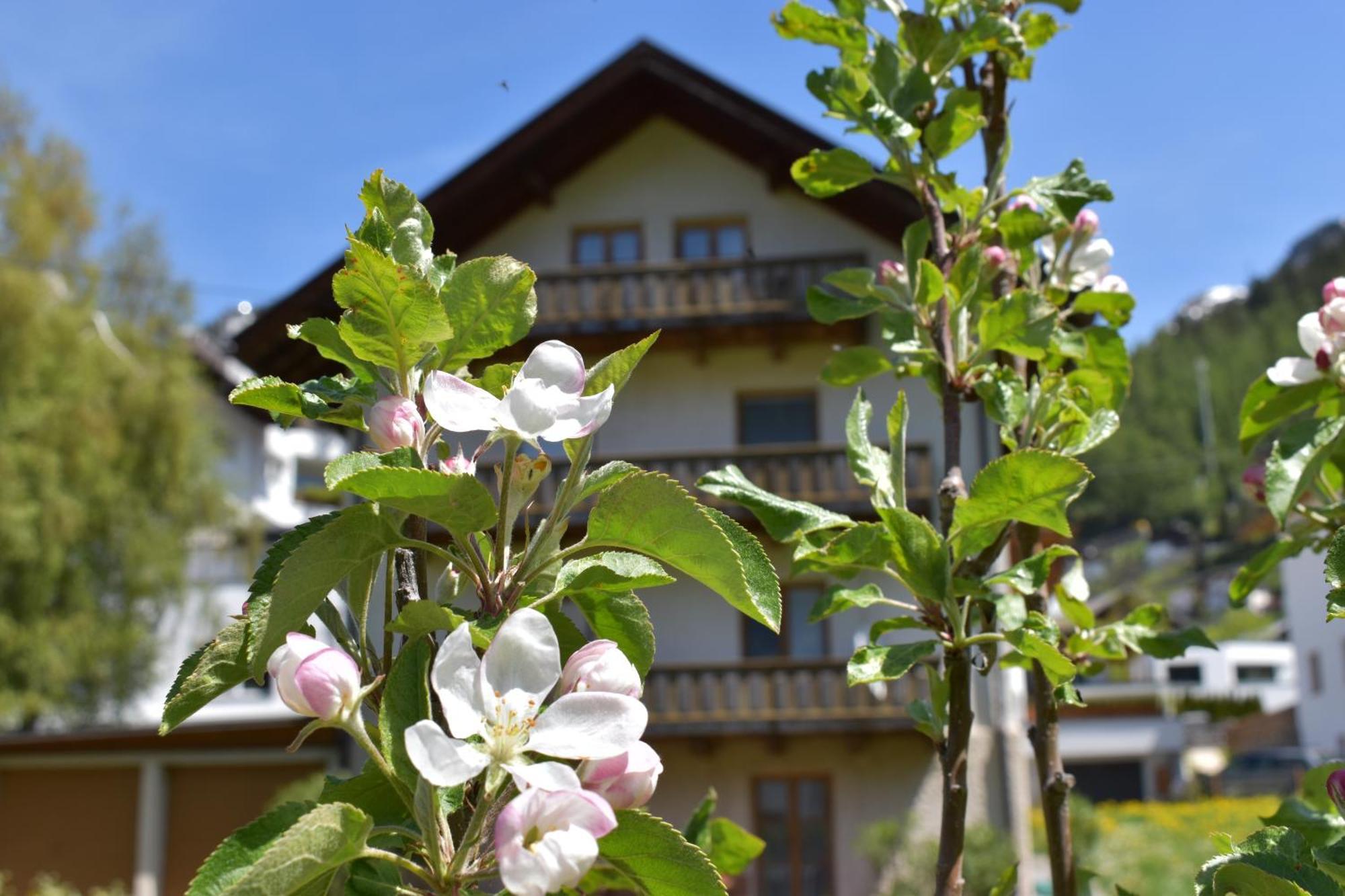 Hirschstube Nauders Bed and Breakfast Exteriör bild